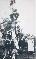 maibaum blieninger1930k